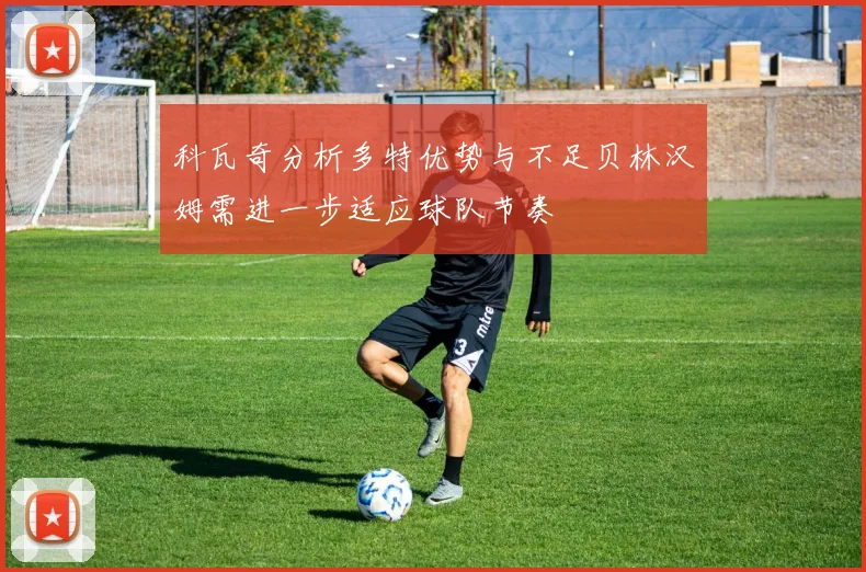科瓦奇分析多特优势与不足贝林汉姆需进一步适应球队节奏