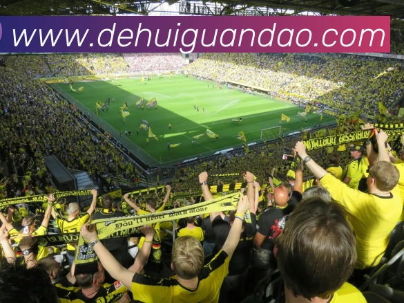 体育赛事